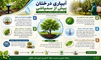 چرا آبیاری درختان پیش از سمپاشی ضروری است؟